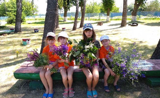 IMG-a3b4443f16c954c3255a0625e18e4cdb-V